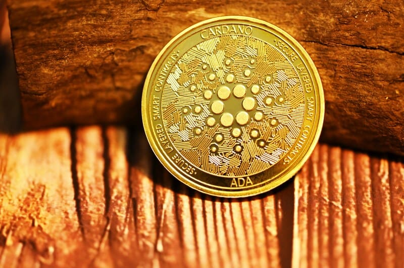 Gold Cardano ADA cryptocurrency coin with circuit pattern resting on a wooden surface.