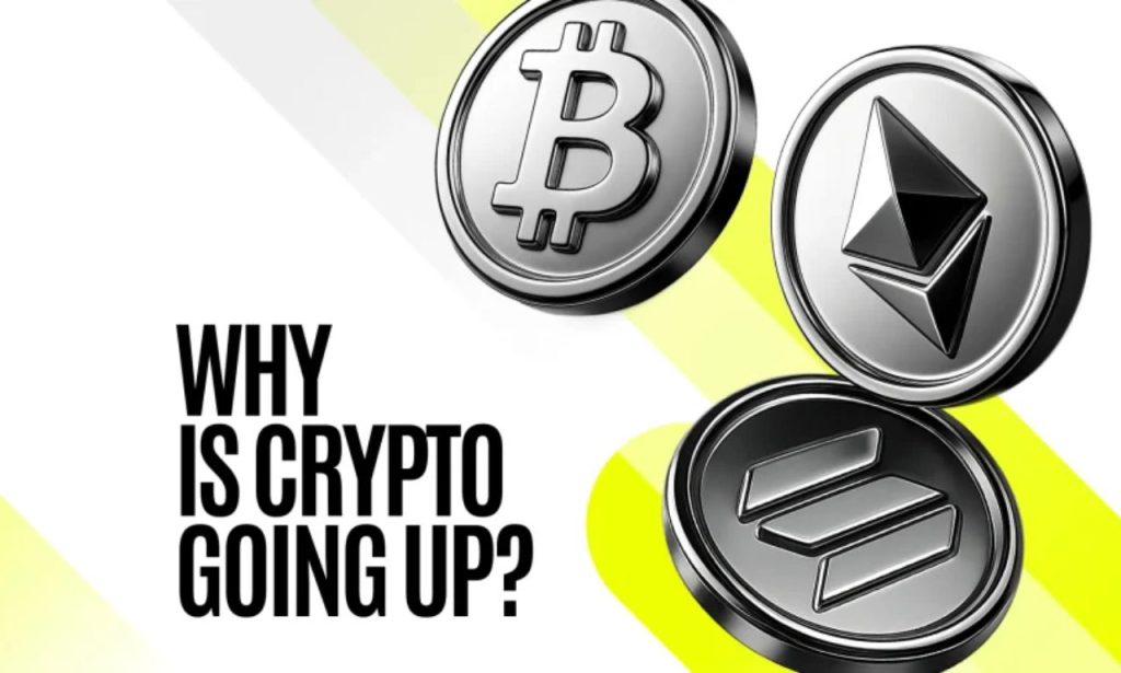 Why Is Crypto Going Up
