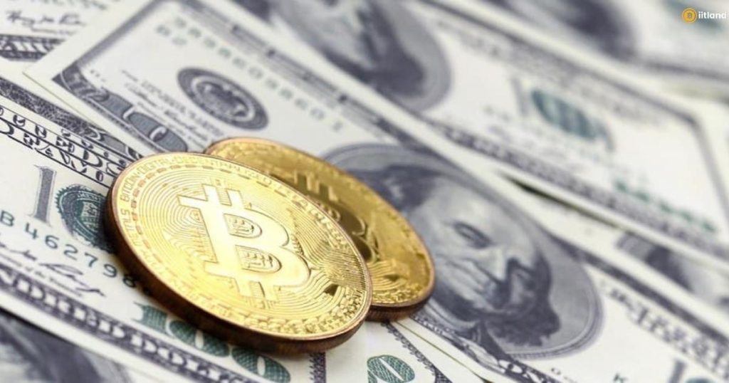 Bitcoin Fast Profit