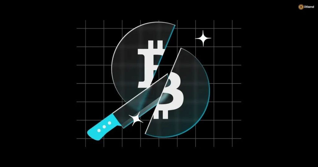 Next Bitcoin Halving