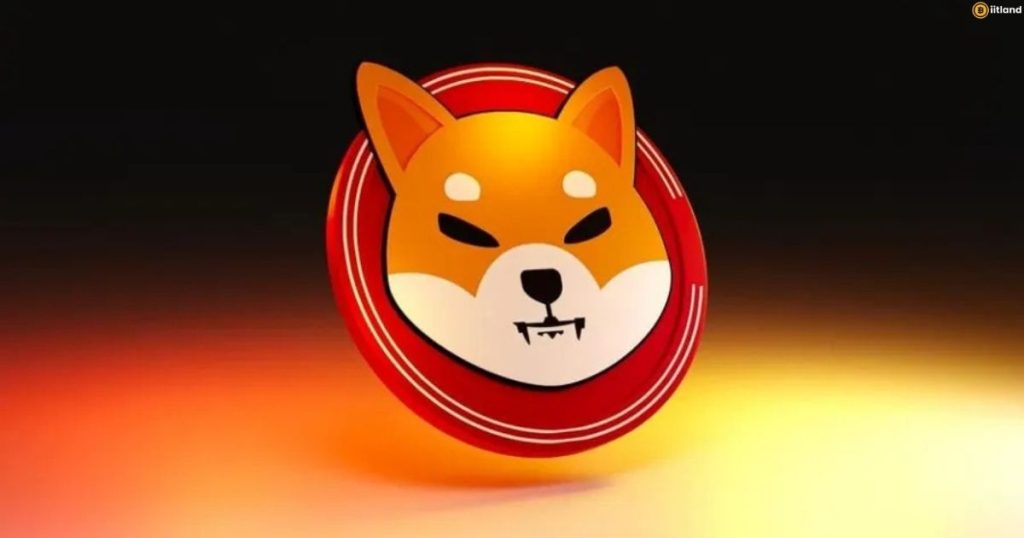 Shiba Inu Coin Price Prediction