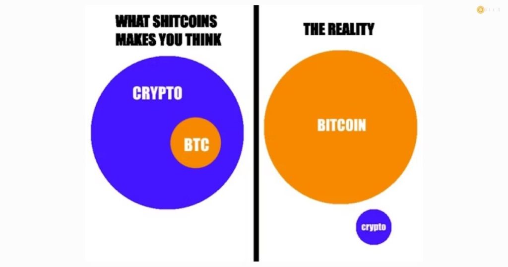 Bitcoin vs Crypto