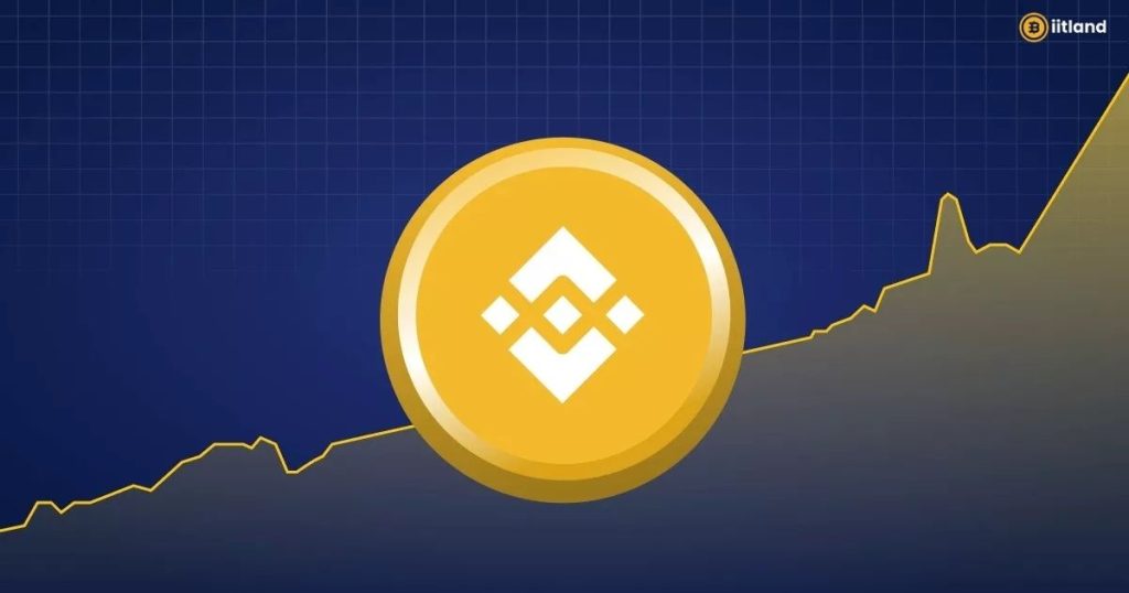 What Is BNB Crypto?