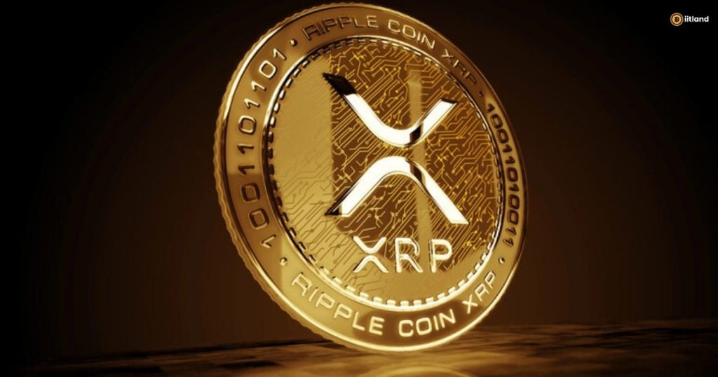 What Is XRPL Crypto