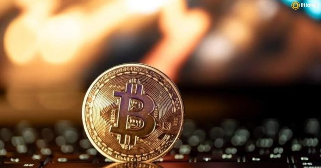 Why Is Crypto Up in 2026