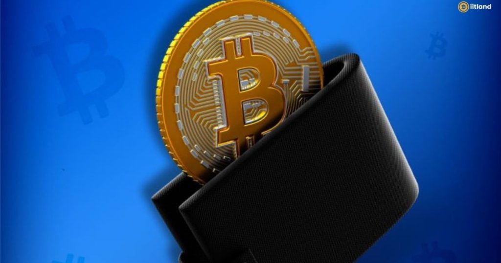 Pay Taxes on Crypto