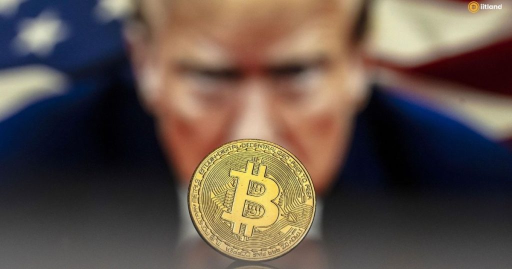 What Crypto Does Trump Own