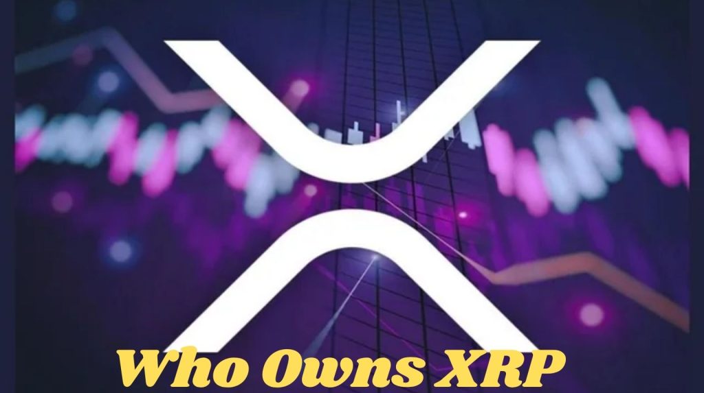 Who Owns XRP