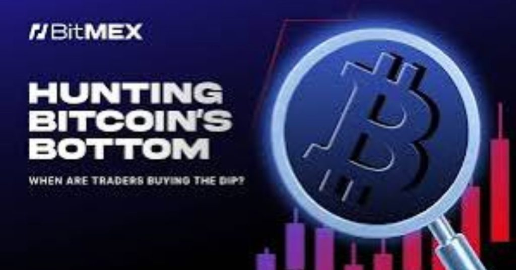 Bitcoin Bottom